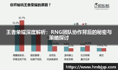 王者荣耀深度解析：RNG团队协作背后的秘密与策略探讨