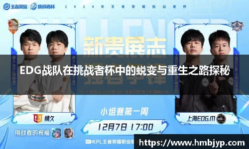 EDG战队在挑战者杯中的蜕变与重生之路探秘