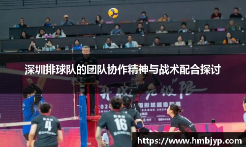 深圳排球队的团队协作精神与战术配合探讨