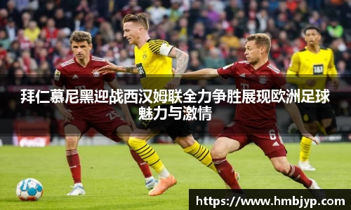 JN体育官网